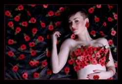 an example of the images created by Keith Adams