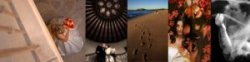 an example of the images created by David Beckstead