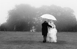 an example of the images created by Mark Bushkes