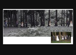 an example of the images created by Nigel Copcutt