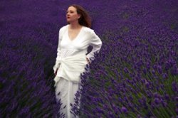 an example of the images created by Andrew Crow-Roberts