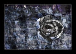 an example of the images created by Aileen Drohan