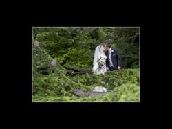 an example of the images created by Janet Durasow