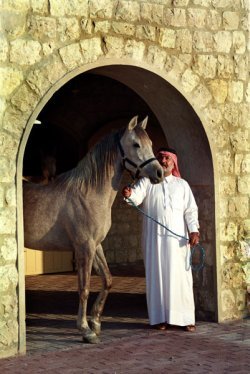an example of the images created by Abdulrahman Fakhroo