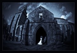 an example of the images created by Carol Frost