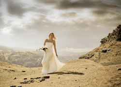 an example of the images created by Roy Hawkins