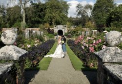 an example of the images created by Aoife Herriott