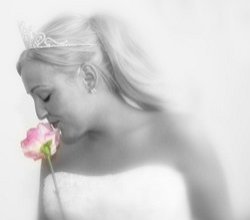 an example of the images created by Richard Jones