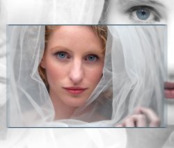 an example of the images created by Tim Onyon