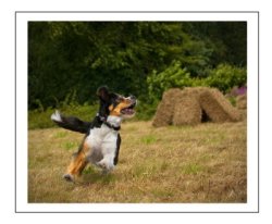 an example of the images created by Barbara Yeo