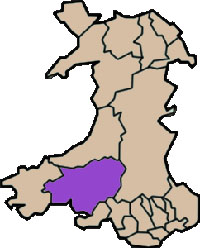Carmarthenshire Flag