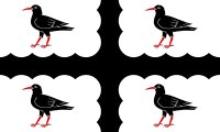 Flintshire Flag