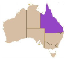 Queensland Flag