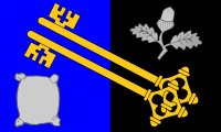 Surrey Flag