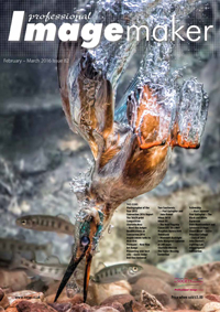 February/March 2016 Professional Imagemaker Magazine February/March 2016 Professional Imagemaker Magazine