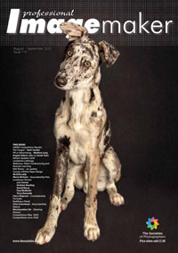 August/September 2020 Professional Imagemaker Magazine August/September 2020 Professional Imagemaker Magazine