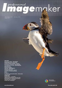 December/January 2021 Professional Imagemaker Magazine December/January 2021 Professional Imagemaker Magazine